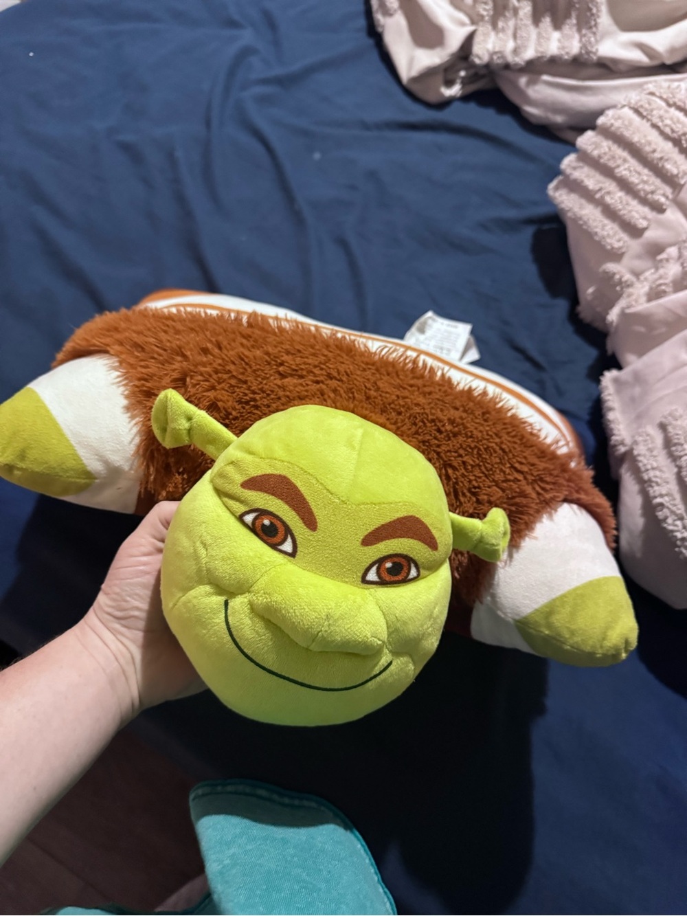 Shrek pillow pet